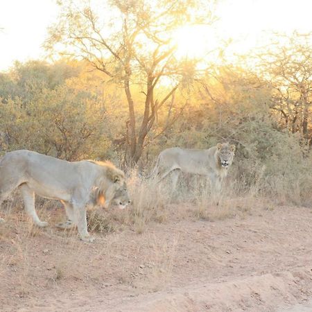 Kwalata Game Lodge Klipdrift Dış mekan fotoğraf