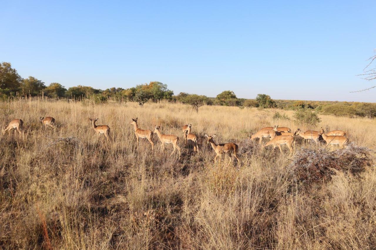 Kwalata Game Lodge Klipdrift Dış mekan fotoğraf